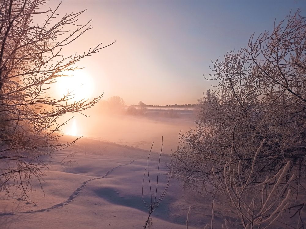 Photograph by Елена Копейкина