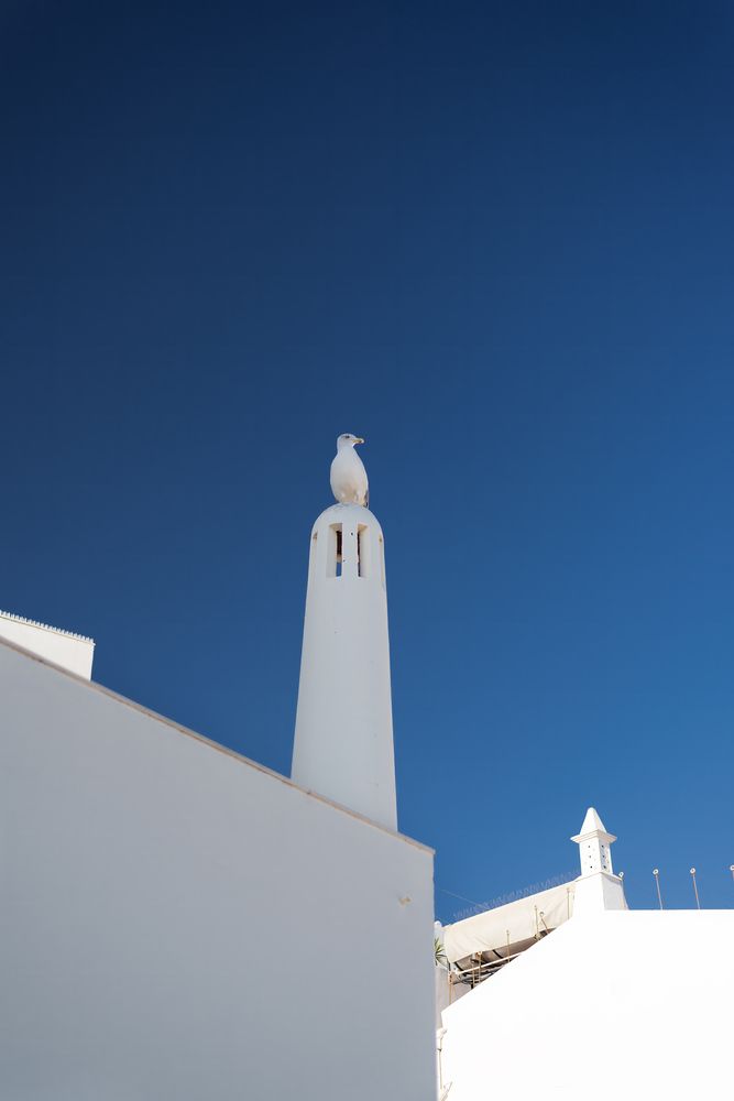 Photograph by Sana Khalid