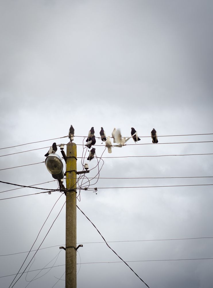 Photograph by Анастасия Кашенко