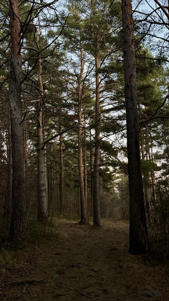 Photograph by Наталья Иванова