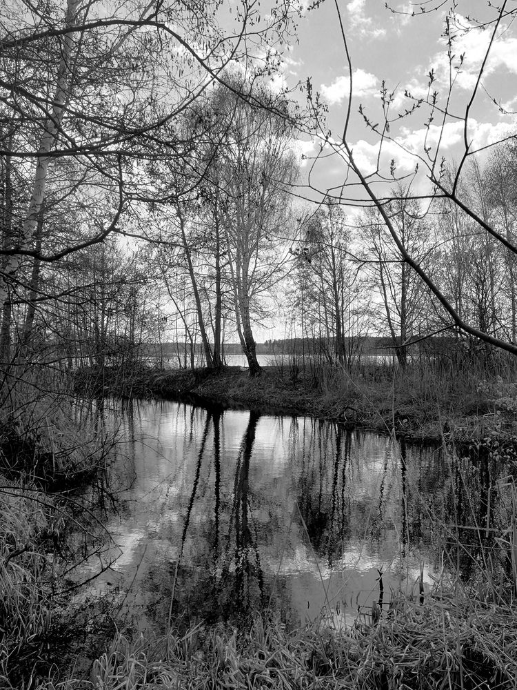 Photograph by Светлана Кудянова