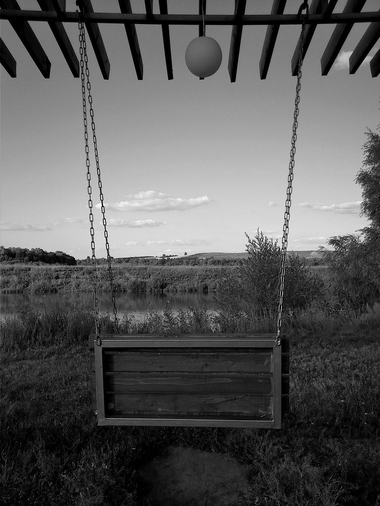 Photo #11805313