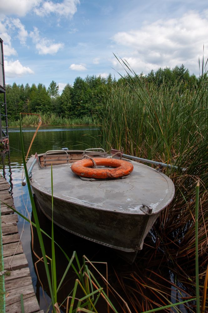 Фотография автора Светлана Поливанова