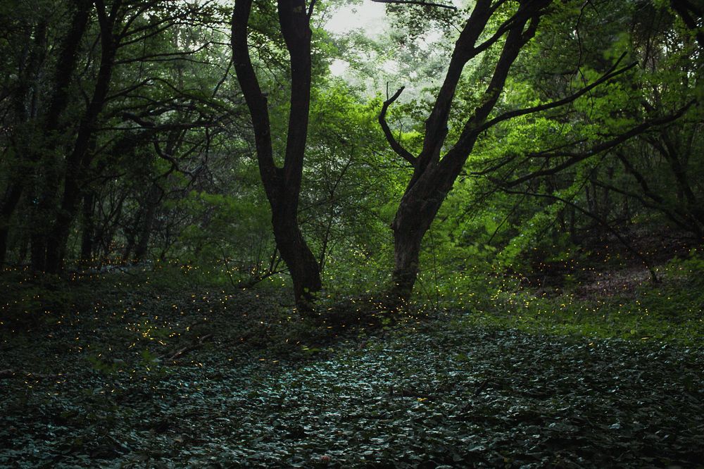 Photograph by Филипп Бабенко