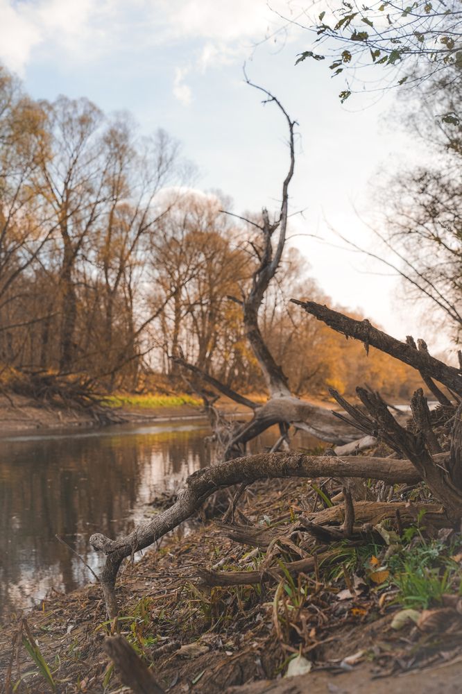 Photograph by Julia Andreeva