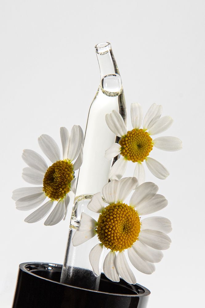 Photograph by Маргарита Кузьмина