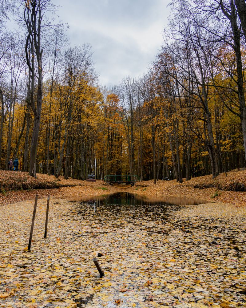 Photograph by Anton Leonchikov