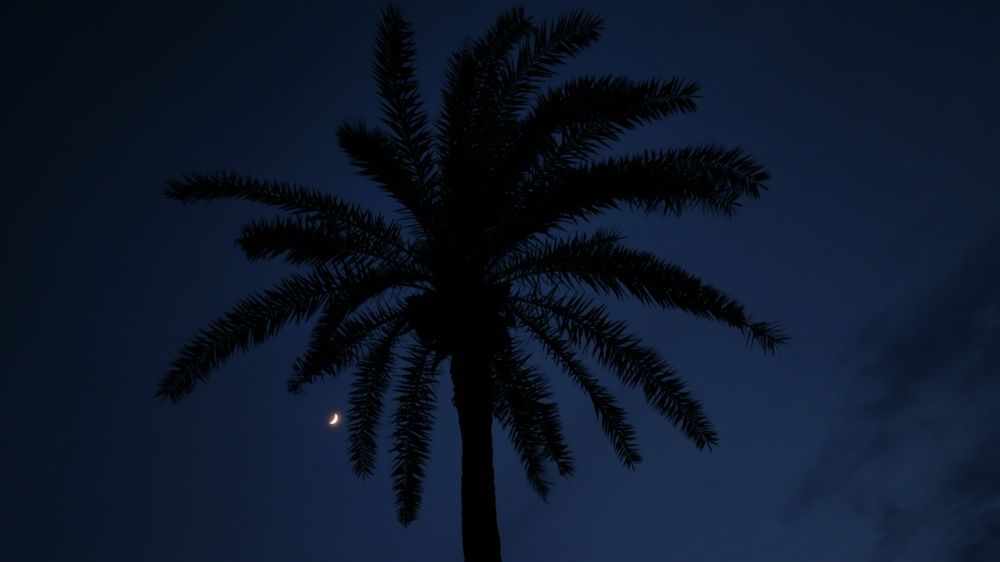 Photo #11805349
