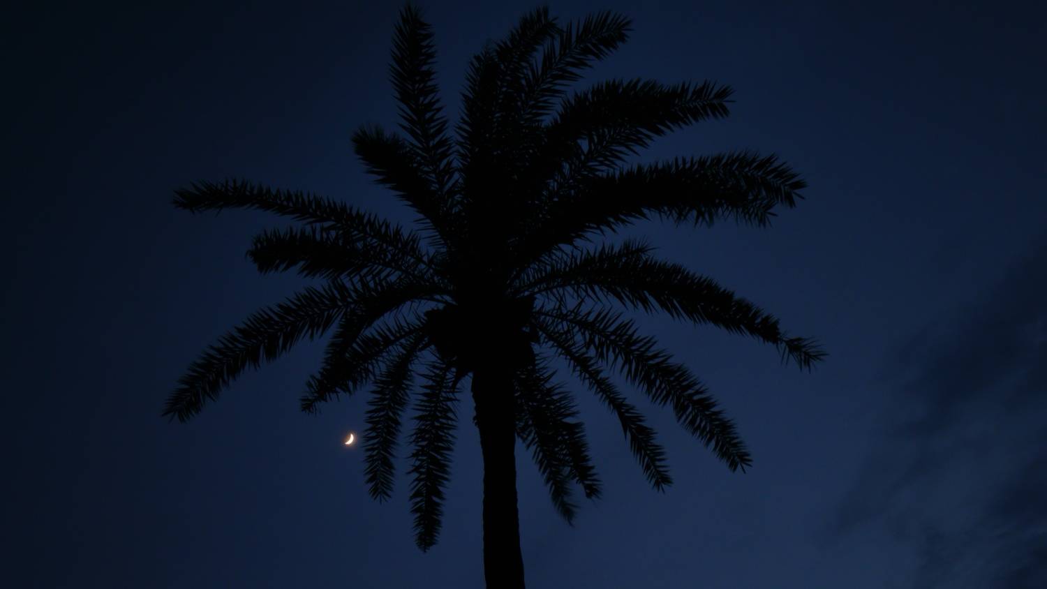Photo #11805349
