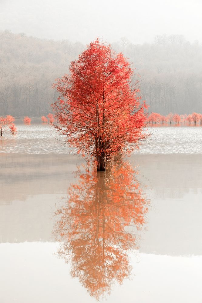 Photograph by SABA Etehad Ketabchi