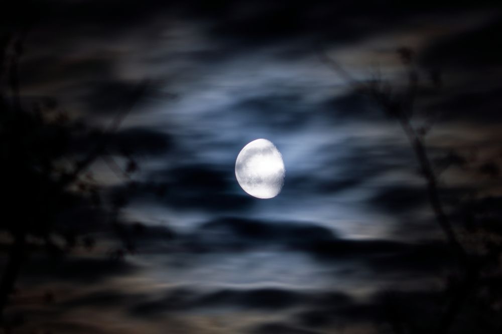 Веточки и луна