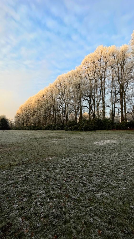 Закат в парке