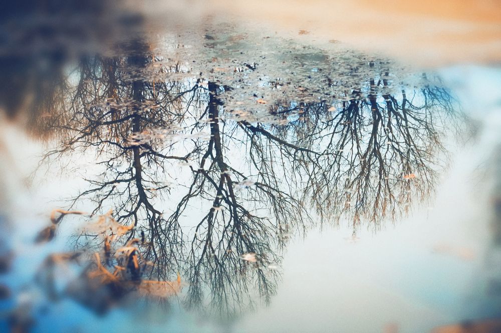 Photograph by Sergey Kudryashov