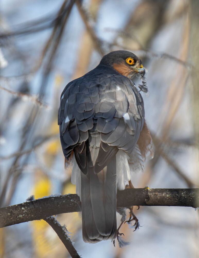 Photograph by Борис