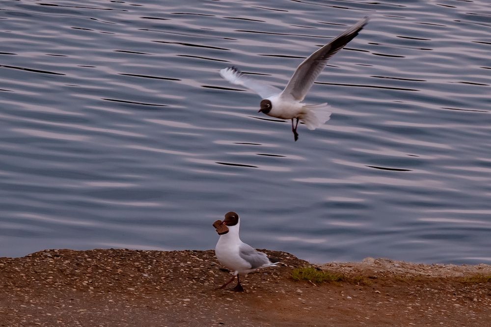 Photograph by Владислав Лопатов