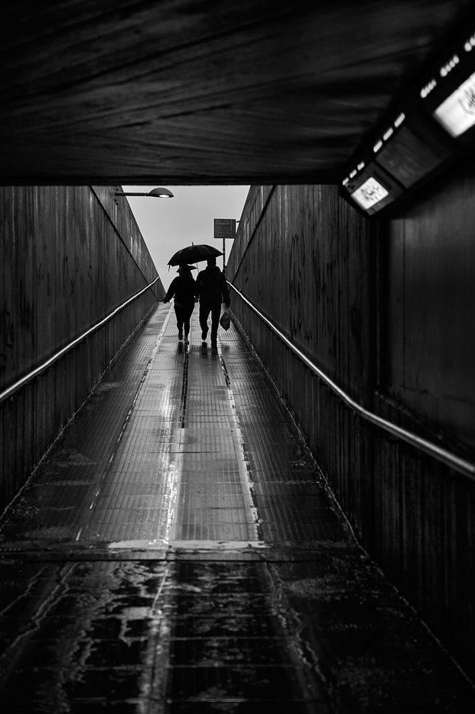 Фотография автора OVIDIU-IOAN TICU