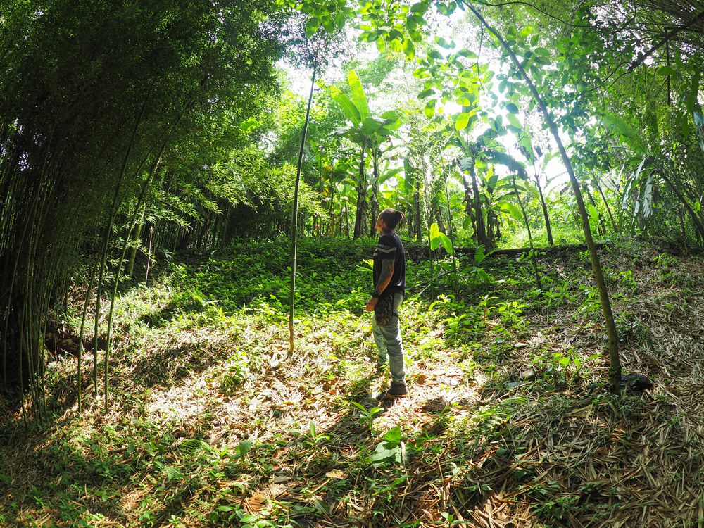 Фотография автора Camilo Rojas