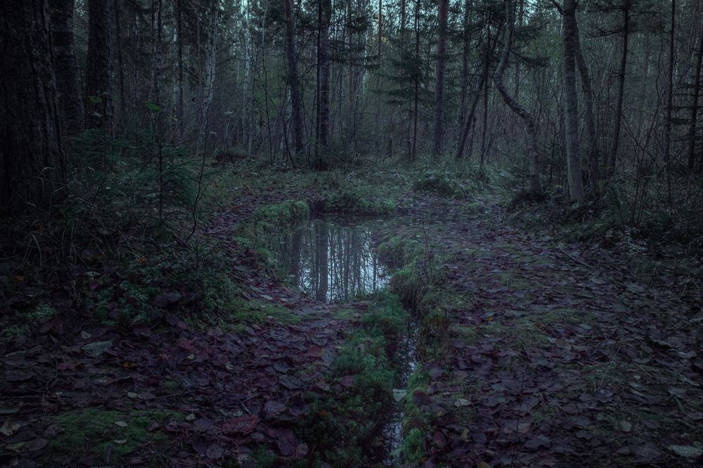 Photograph by Глеб Обуховский