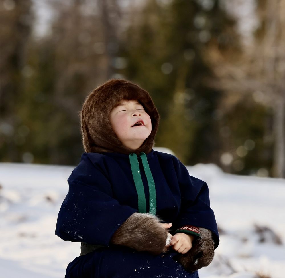 Радость падающему снегу