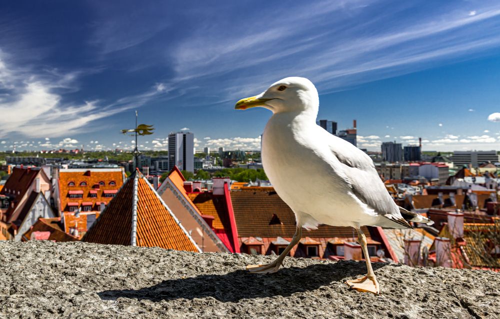 Photograph by Gennadiy Slezkin