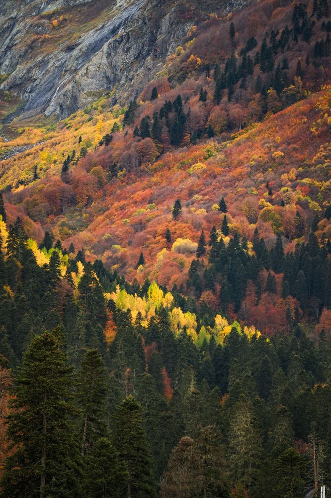 Фотография автора Светлана Зимина