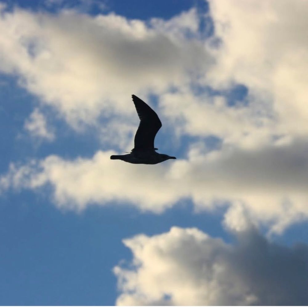 Photograph by Kamil Önügör