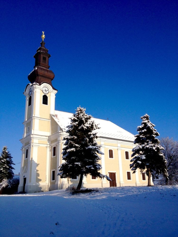 Photo #11805511