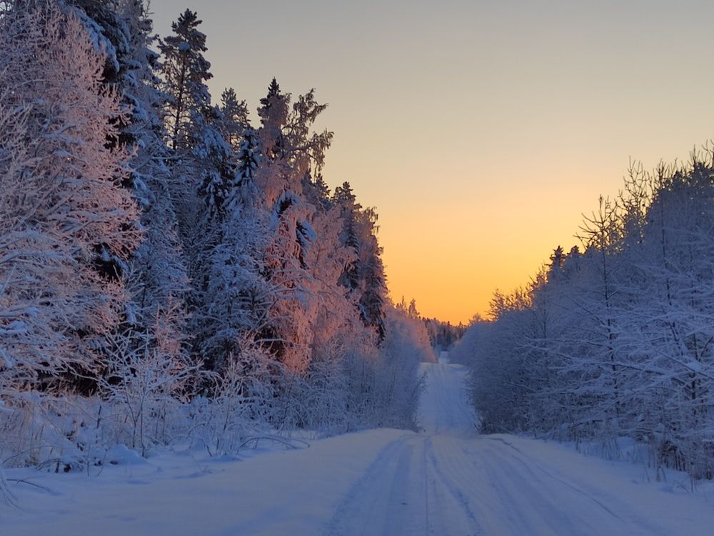 Photograph by Наталья Горовых