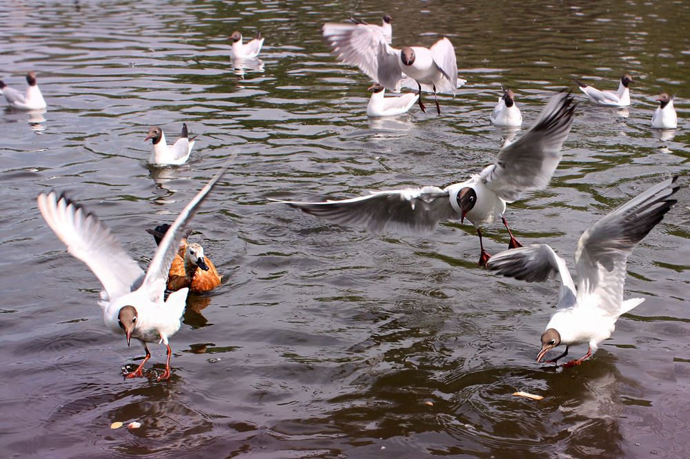 Photograph by Лилия Голд