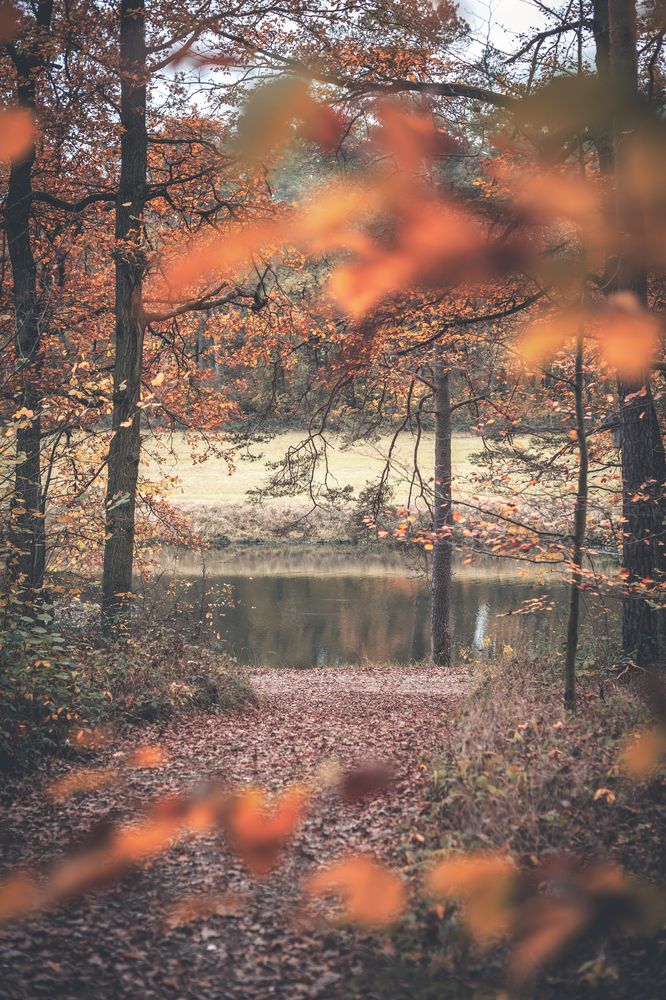 Photograph by Светлана Барановская