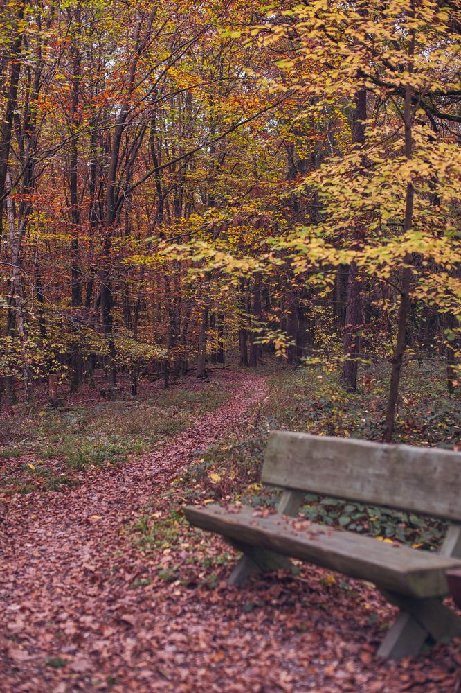 Photograph by Светлана Барановская