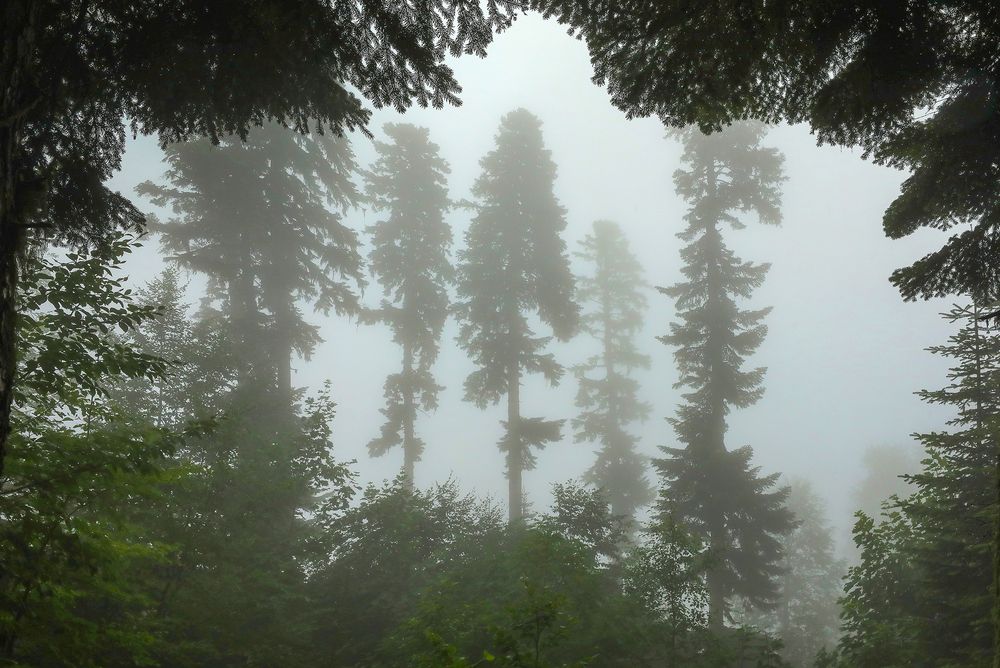 Photograph by Андрей Лысиков