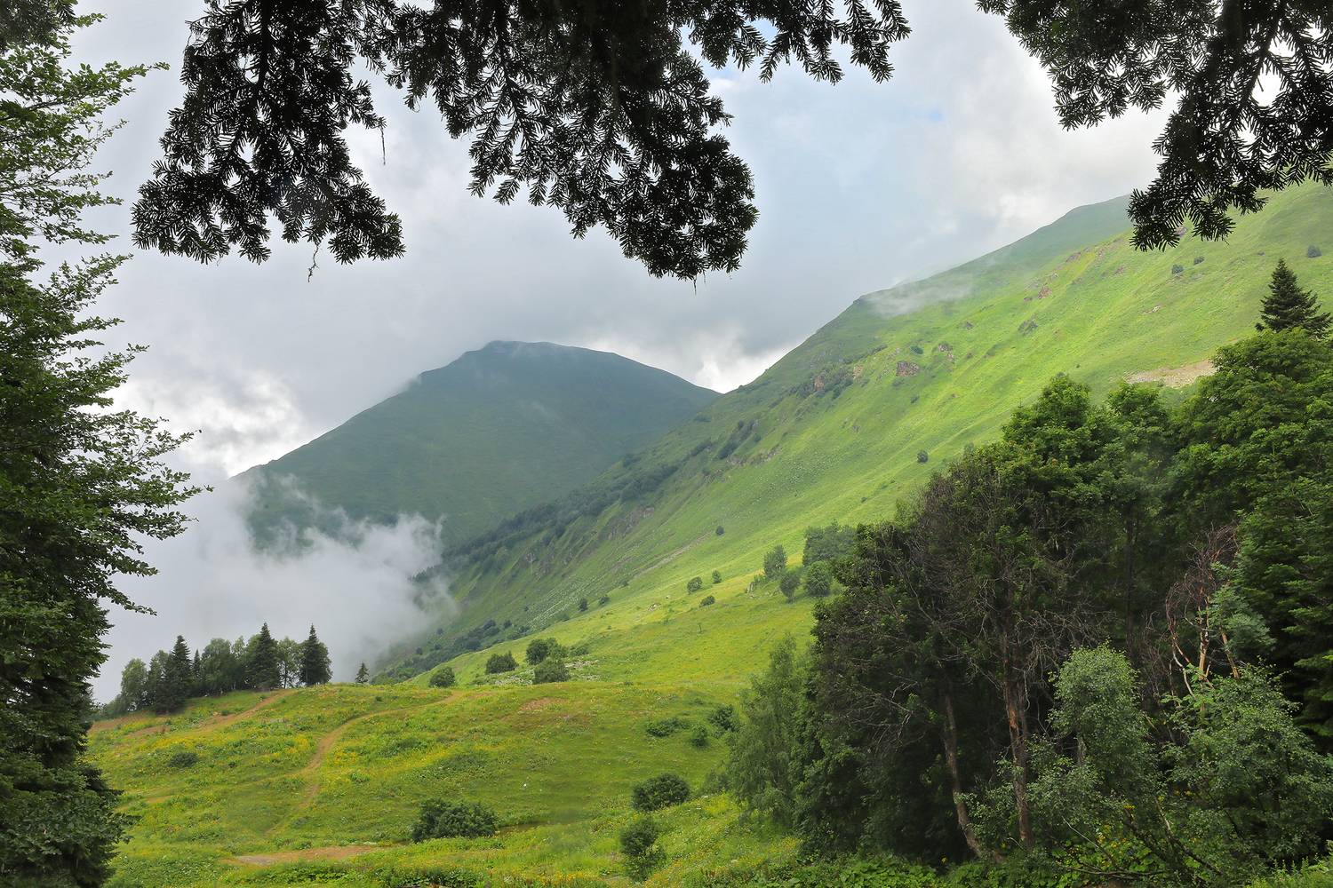 Фотография #11805579