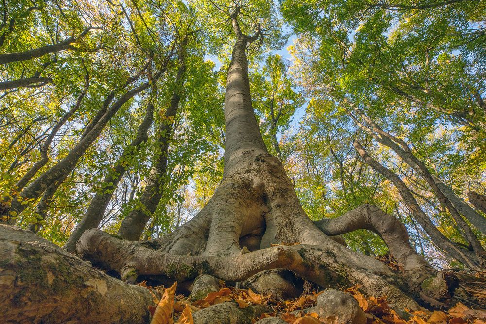 Photograph by Андрей Лысиков