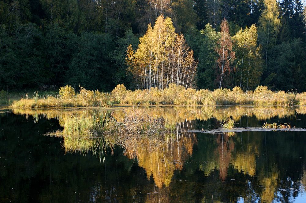 Фотография автора Станислав