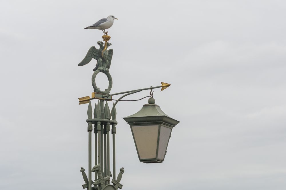 Photograph by Светлана Ващенко