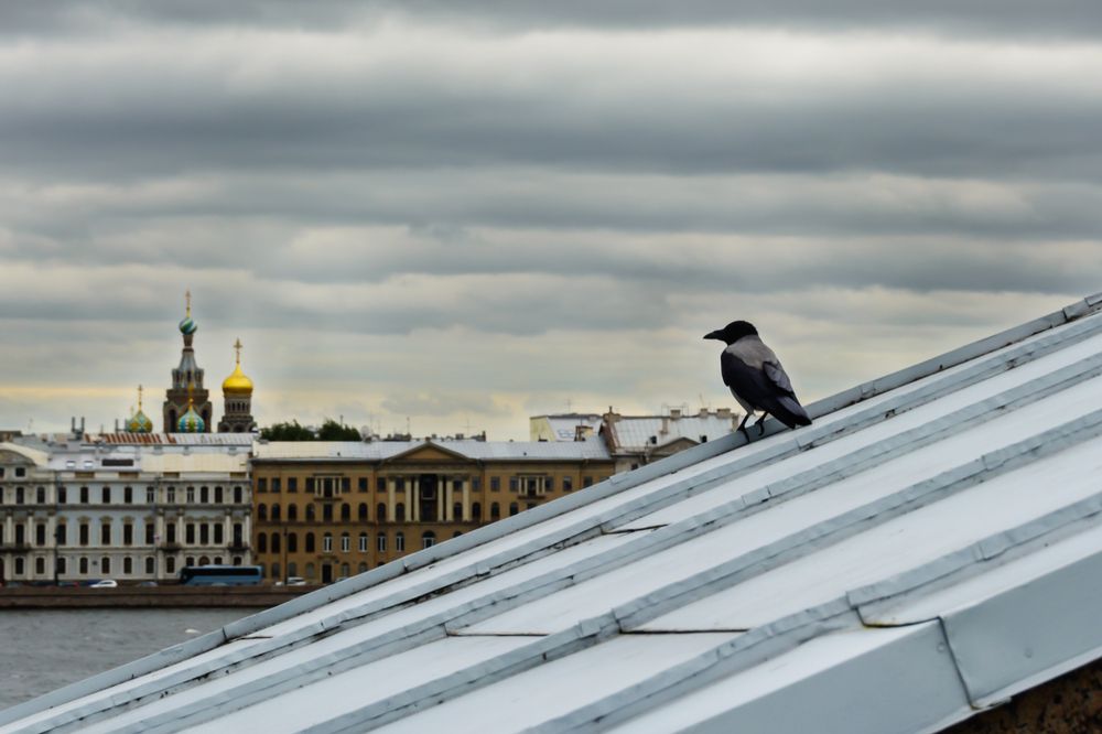 Photograph by Светлана Ващенко