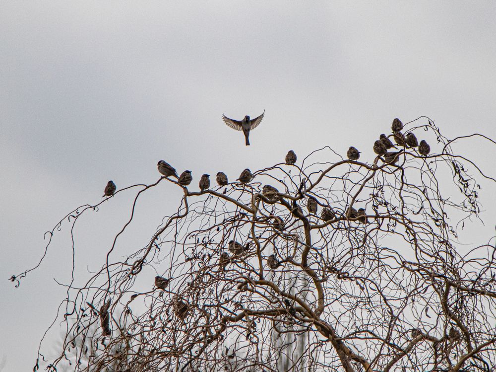 Photograph by Дмитрий Давидов