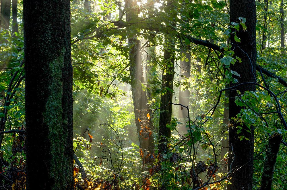 Photograph by Вишневецкая Светлана