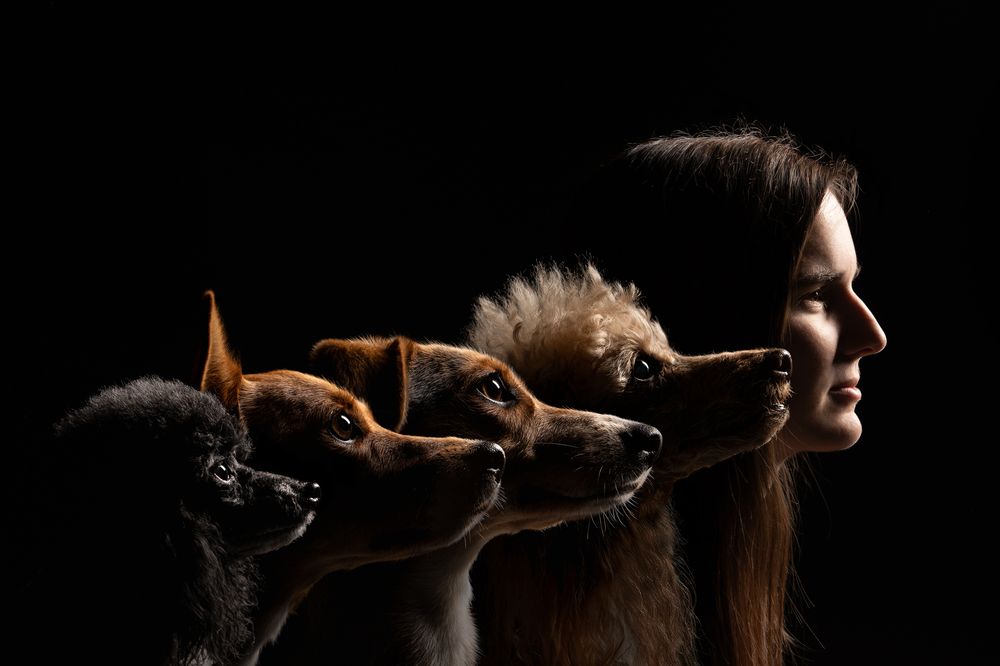 Фотография автора Krisztián Csalami