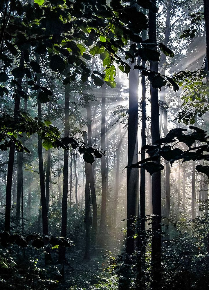 Photograph by Вишневецкая Светлана