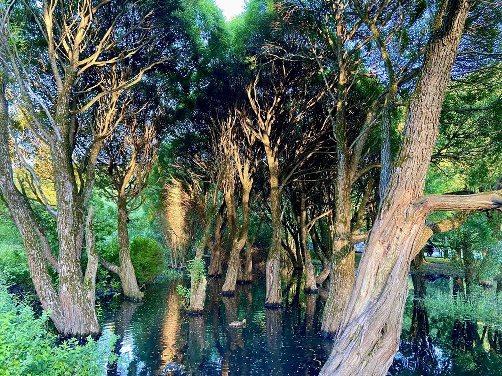 Photograph by Ирина Швейнова