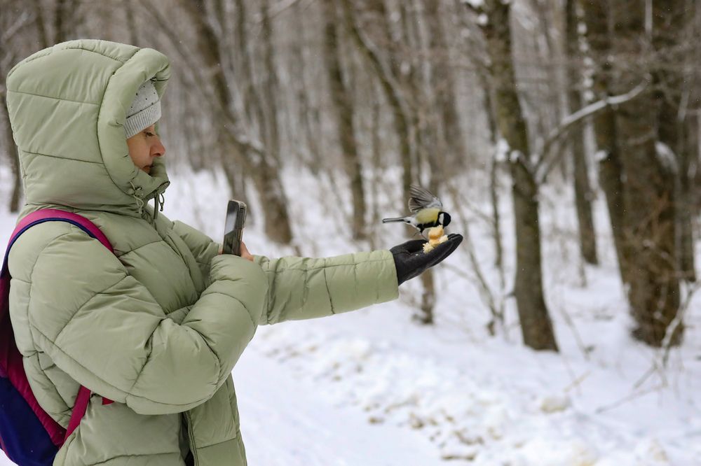 Угощенье для синички