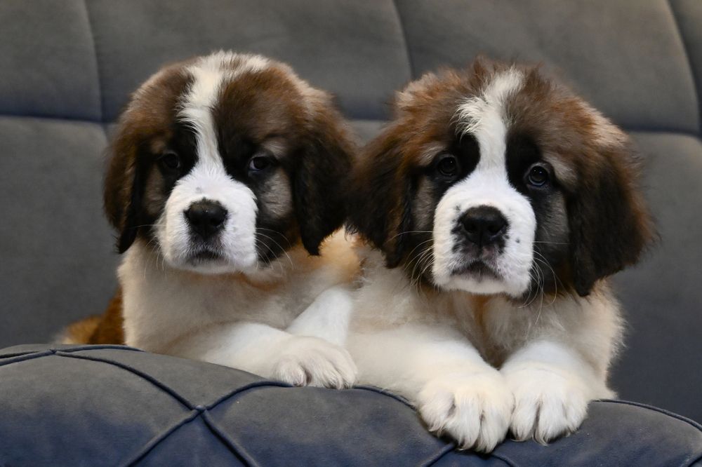 Photograph by Алексей Гончаров