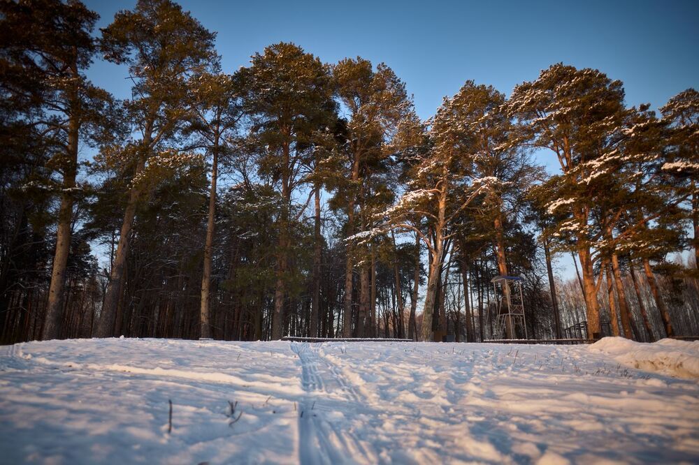 Photograph by Сергей Ветошкин