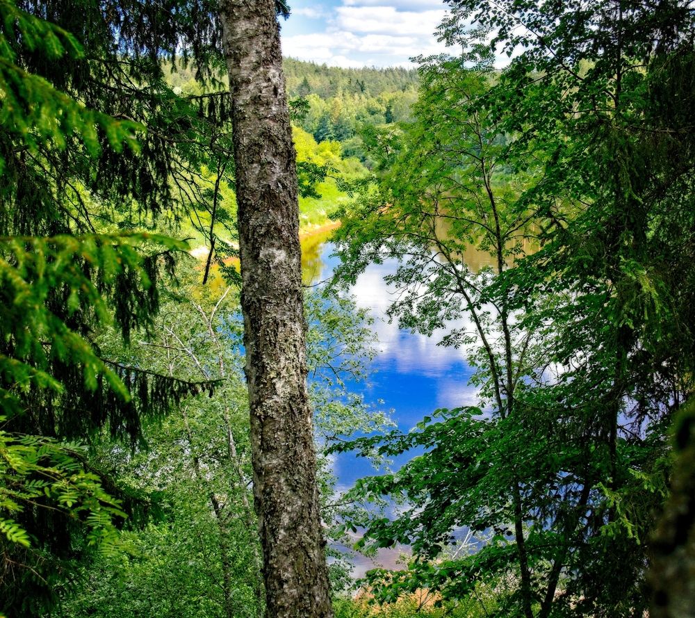 Фотография автора Vladimir Chu