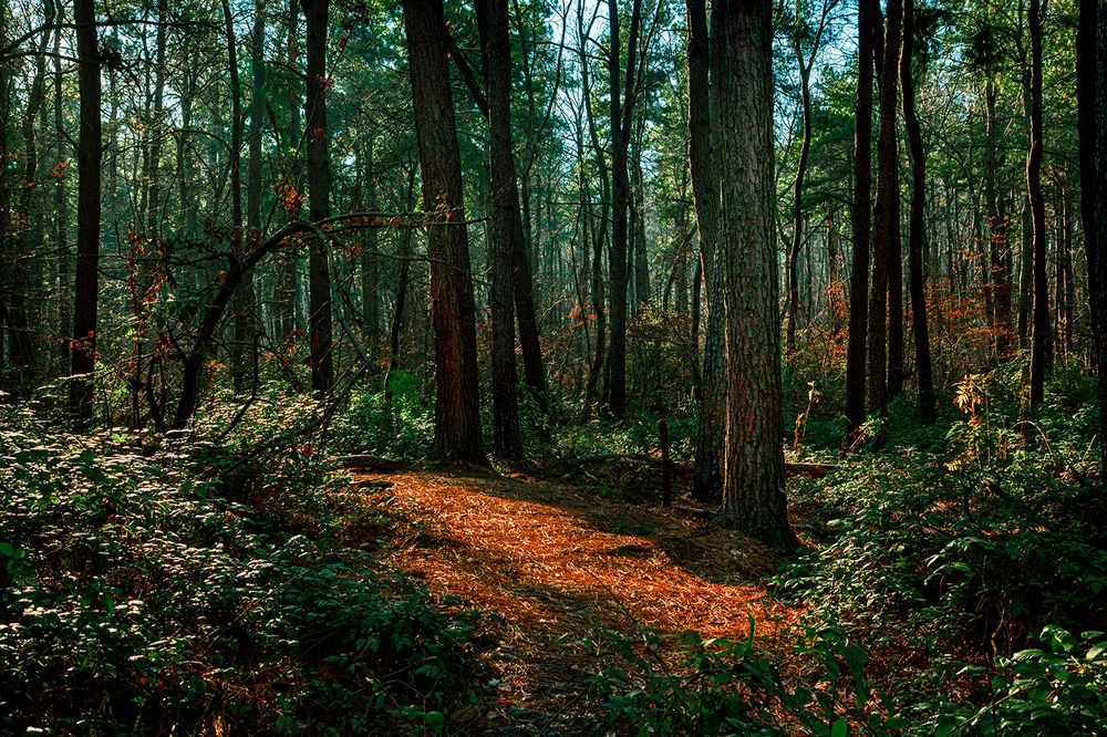 Photograph by Hengameh pirooz