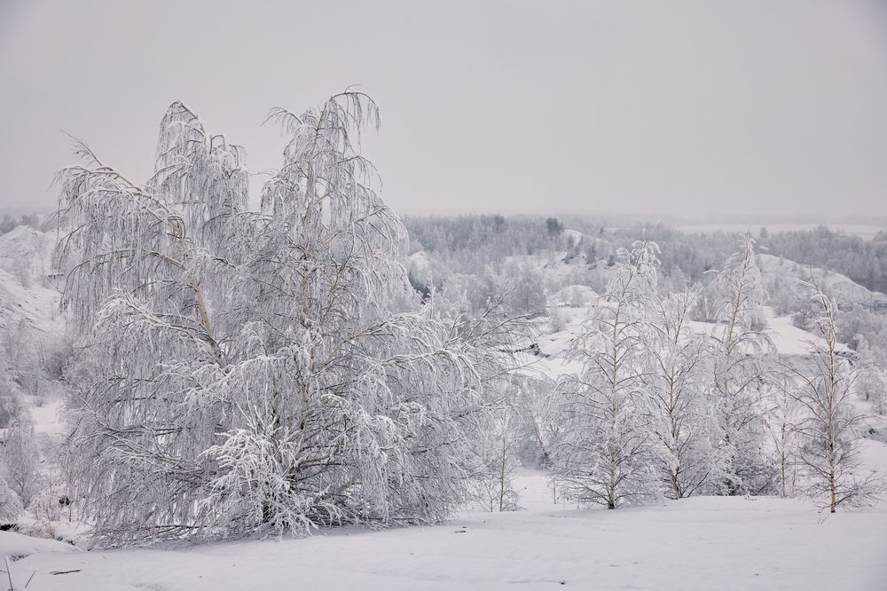 Photograph by Вербицкий Петр