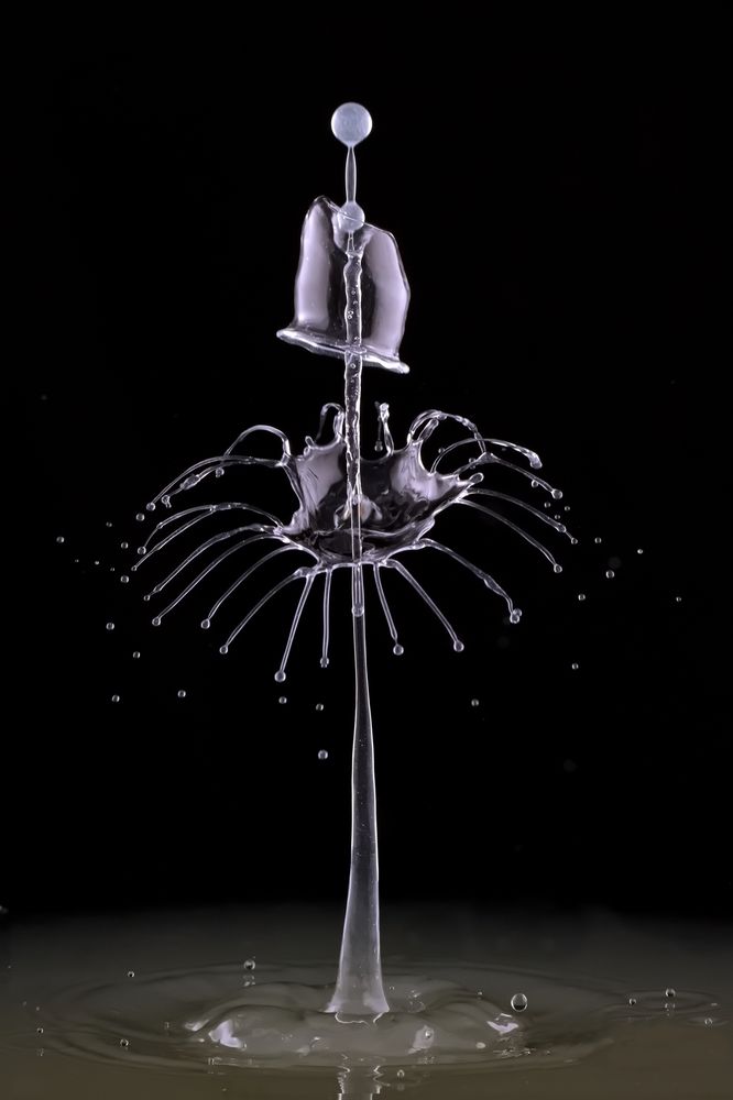 Фотография автора Илан Грабоис