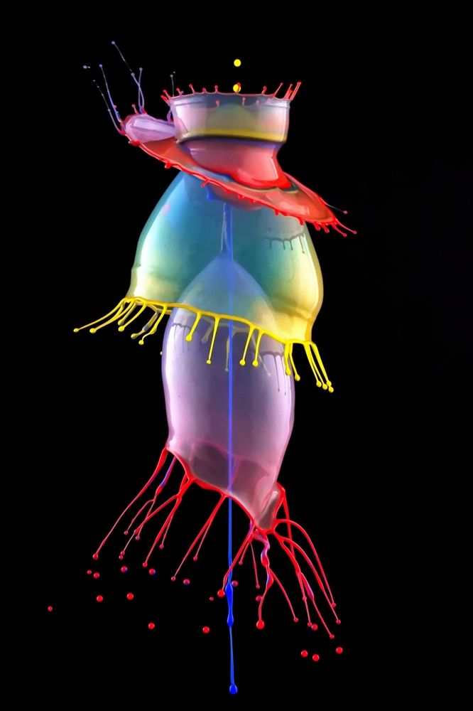 Фотография автора Илан Грабоис